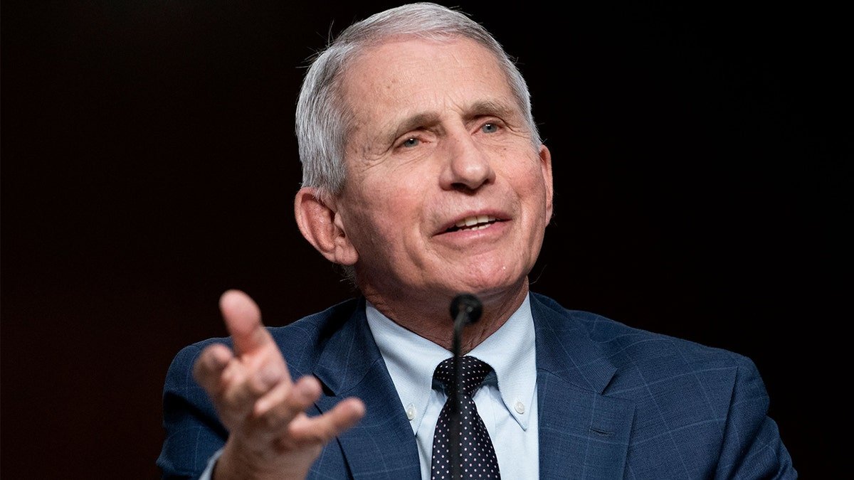 fauci speaking in suit