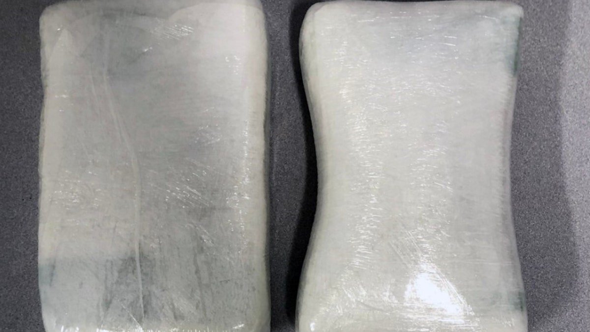 Cocaine concealed in bags.