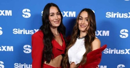 Nikki Bella Says Sister Brie ‘Is in a Lot of Pain’ After SummerSlam Shoulder Injury Nikki Bella Says Sister Brie ‘Is in a Lot of Pain’ After SummerSlam Shoulder Injury