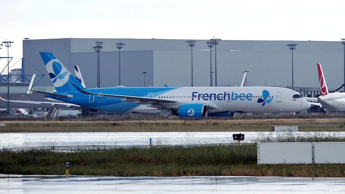 French bee plane on the ground