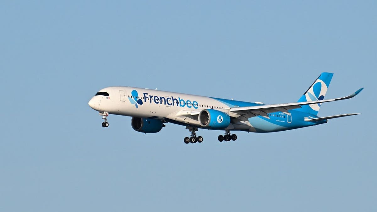 French bee flying in sky