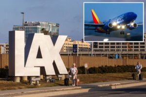 Passenger dies mid-flight on LAX-bound plane after multiple CPR attempts