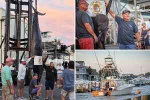 Fishermen stunned when they hooked this massive sea beast — believed to be the biggest of its kind caught on East Coast