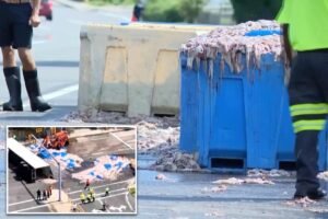 20 tons of slimy squid spill on Rhode Island roadway — blanketing area in foul odor 20 tons of slimy squid spill on Rhode Island roadway — blanketing area in foul odor