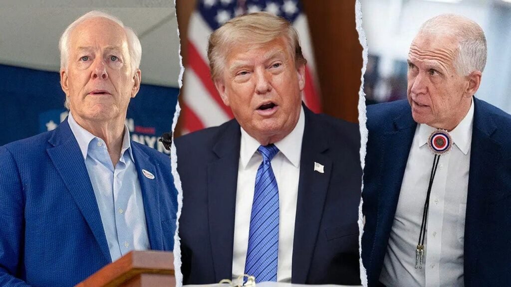 Trump blasts rogue GOP senators for blocking Blanche nomination, vows anti-weaponization bill fight Trump blasts rogue GOP senators for blocking Blanche nomination, vows anti-weaponization bill fight