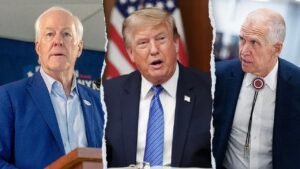 Trump blasts rogue GOP senators for blocking Blanche nomination, vows anti-weaponization bill fight Trump blasts rogue GOP senators for blocking Blanche nomination, vows anti-weaponization bill fight