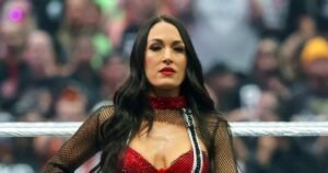 Brie Bella Addresses Shoulder Injury at WWE SummerSlam: ‘Don’t Let Broken Bones Stop Us’ Brie Bella Addresses Shoulder Injury at WWE SummerSlam: ‘Don’t Let Broken Bones Stop Us’