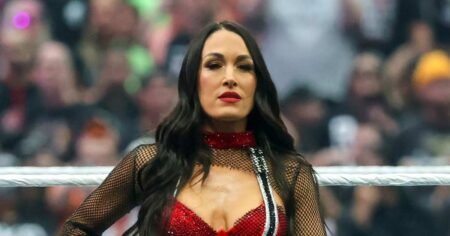 Brie Bella Addresses Shoulder Injury at WWE SummerSlam: ‘Don’t Let Broken Bones Stop Us’ Brie Bella Addresses Shoulder Injury at WWE SummerSlam: ‘Don’t Let Broken Bones Stop Us’