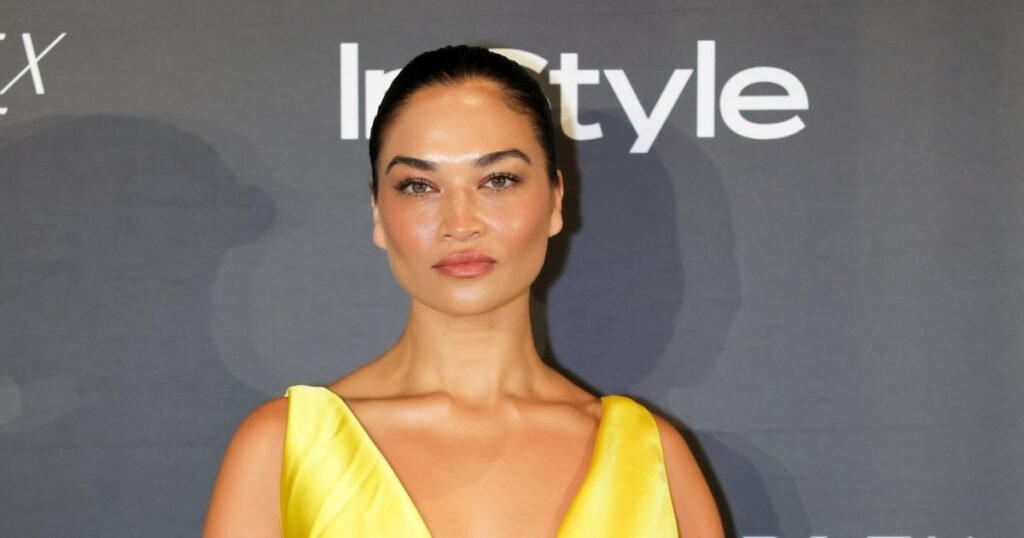Supermodel Shanina Shaik Is Pregnant With Baby No. 2, Her 1st With Music Executive Ryan Press