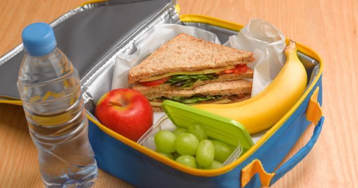 Back-to-school lunches need ‘flexibility’ amid uneven food prices: report Back-to-school lunches need ‘flexibility’ amid uneven food prices: report