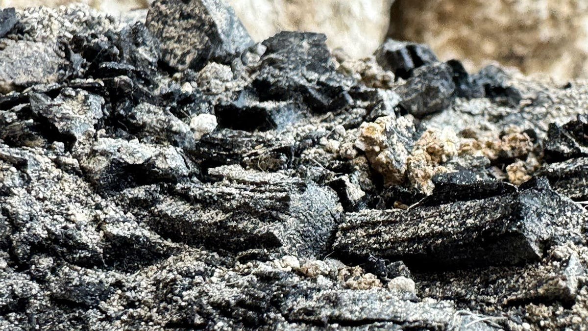 View of charred wood