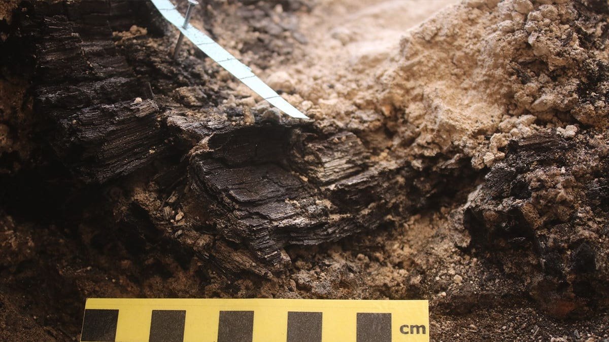 Close-up of charred wood at archaeological site