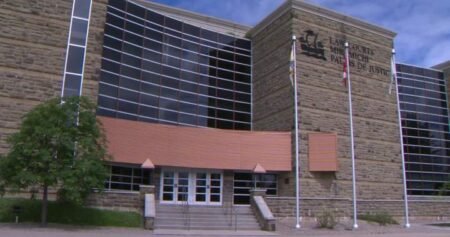 Complaint against New Brunswick lawyer’s use of AI part of growing trend: experts
