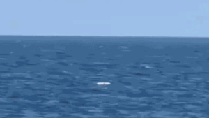 Ukraine pounds Black Sea Fleet’s ‘last major stronghold’ while Putin flexes naval power in Pacific Ukraine pounds Black Sea Fleet’s ‘last major stronghold’ while Putin flexes naval power in Pacific