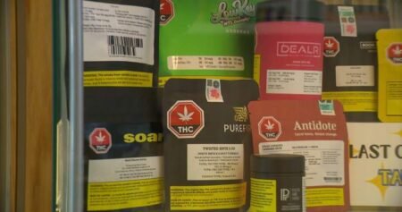 Ottawa pledges millions to study cannabis mental health, pregnancy impacts Ottawa pledges millions to study cannabis mental health, pregnancy impacts