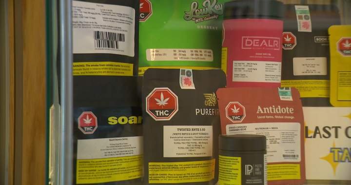 Ottawa pledges millions to study cannabis mental health, pregnancy impacts Ottawa pledges millions to study cannabis mental health, pregnancy impacts