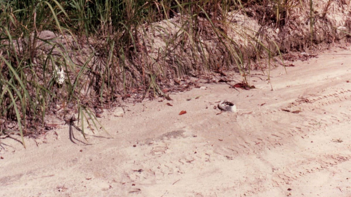 Shoe prints in the sand.