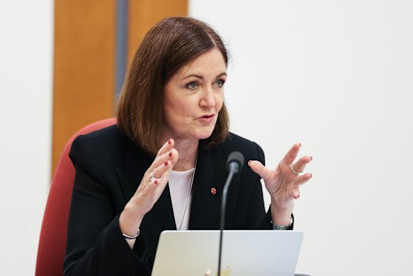 Opposition communications spokeswoman Sarah Henderson.