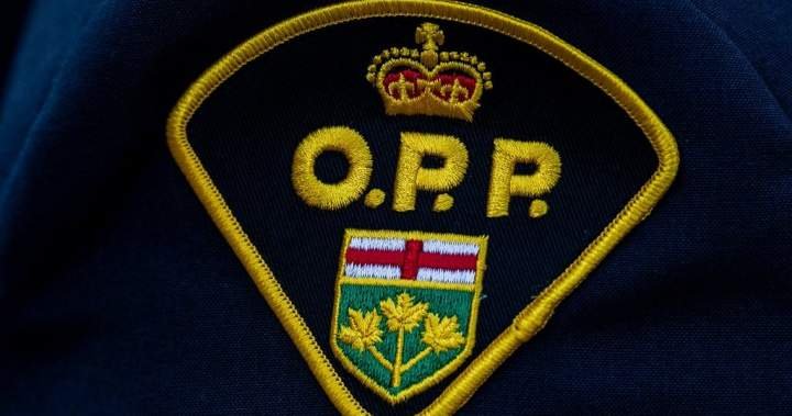 1 dead, 1 rescued after canoe capsizes in Ontario lake 1 dead, 1 rescued after canoe capsizes in Ontario lake