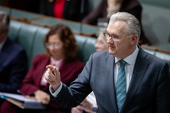Home Affairs Minister Tony Burke.