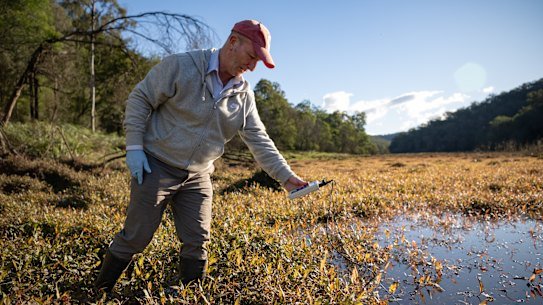 Testing the waters: Dr Ian Wright at Wheeny Creek.