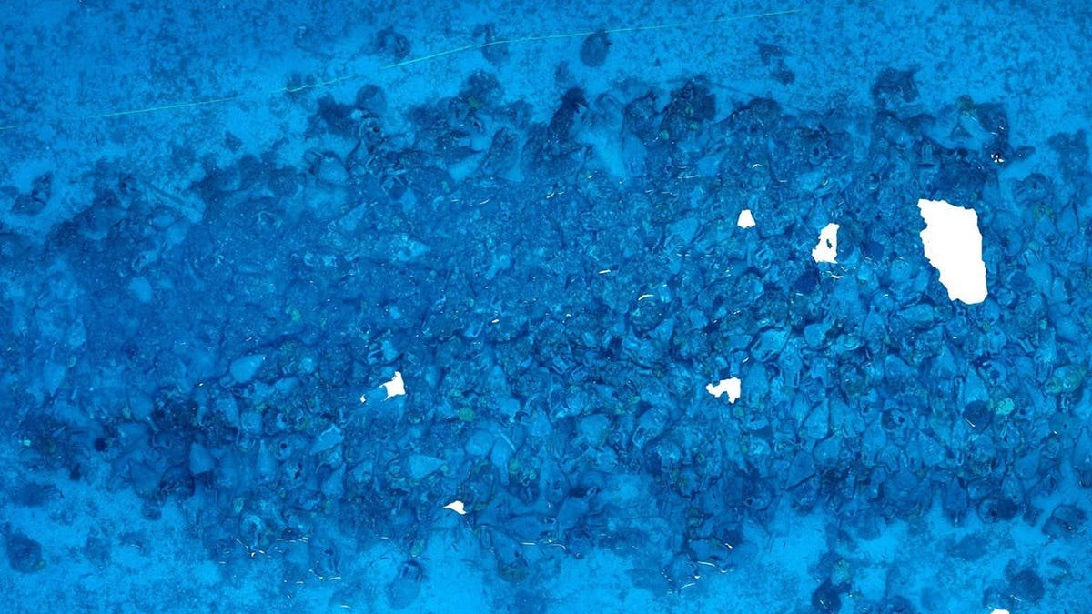 Ancient vessel displayed among shipwreck artifacts from an archaeological discovery.