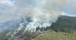 B.C. wildfires continue to flare up, with almost 30 added in past 24 hours