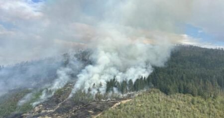 B.C. wildfires continue to flare up, with almost 30 added in past 24 hours