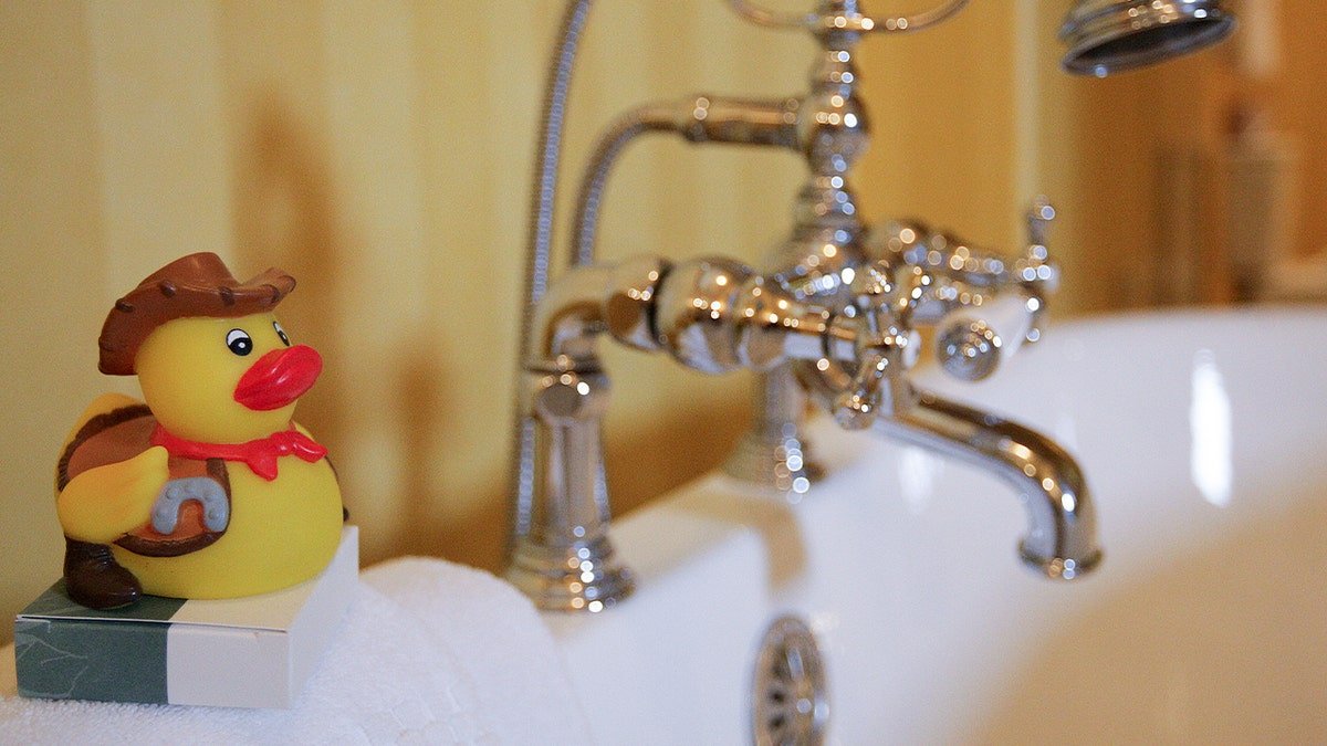 toy duck at bathtub