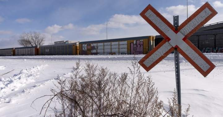 No danger to public after CN train derailment in Nova Scotia: officials No danger to public after CN train derailment in Nova Scotia: officials