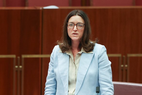 Greens senator Steph Hodgins-May.