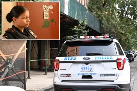 Teen, 15, found fatally shot in head and boy, 13, injured in Bronx apartment as cops hunt suspect Teen, 15, found fatally shot in head and boy, 13, injured in Bronx apartment as cops hunt suspect