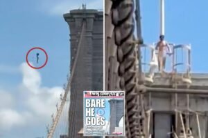 Naked nutjob who leaped from Brooklyn Bridge and miraculously survived identified Naked nutjob who leaped from Brooklyn Bridge and miraculously survived identified