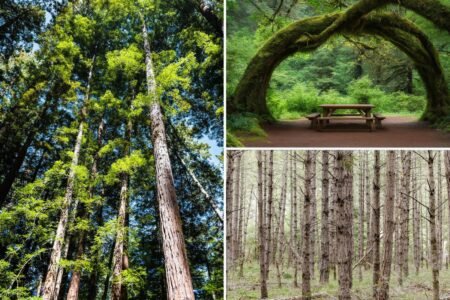 Tucked-away California park ranked among the best-kept secrets in US (and it’s not crawling with tourists) Tucked-away California park ranked among the best-kept secrets in US (and it’s not crawling with tourists)
