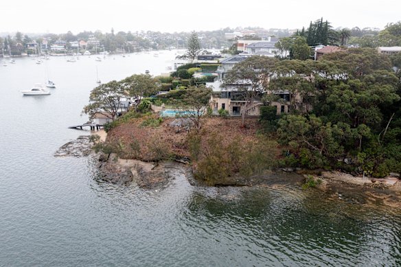 The clearing operation removed mature trees from a large tract of waterfront land.
