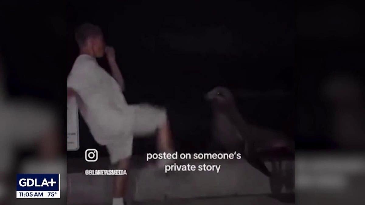 Tyler Muehl in video footage