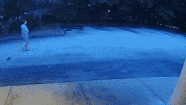 Manhunt intensifies for armed woman after veteran Massachusetts police officer found dead at home Manhunt intensifies for armed woman after veteran Massachusetts police officer found dead at home