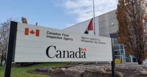 Compliments’ smashed 100% chicken burgers are being recalled in Canada Compliments’ smashed 100% chicken burgers are being recalled in Canada