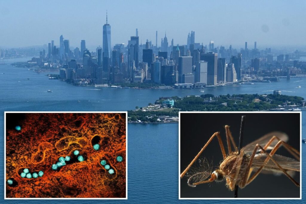 First 2026 case of dangerous West Nile virus detected in NYC: officials First 2026 case of dangerous West Nile virus detected in NYC: officials