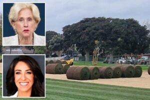SoCal city dumps weedkiller on sports fields as child cancer deaths fuel toxic-chemical fears
