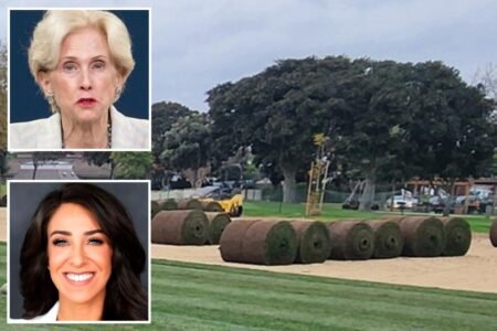 SoCal city dumps weedkiller on sports fields as child cancer deaths fuel toxic-chemical fears SoCal city dumps weedkiller on sports fields as child cancer deaths fuel toxic-chemical fears