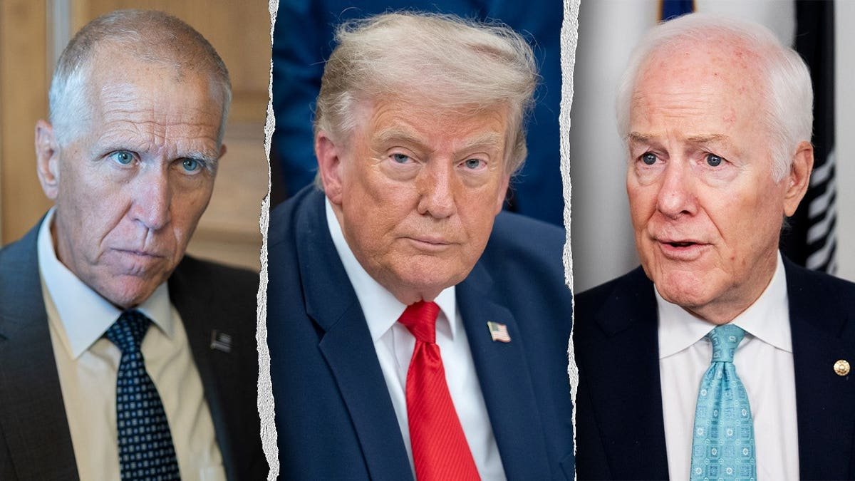 cornyn todd blanche trump