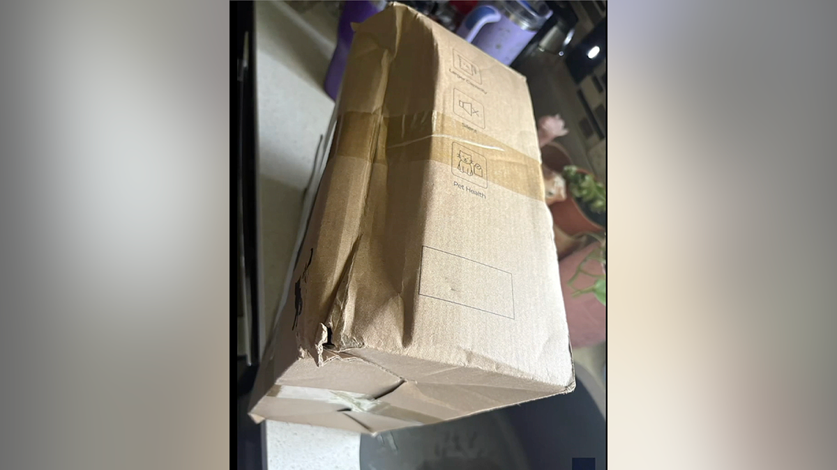A cardboard package with a crushed corner after being delivered to a Florida home