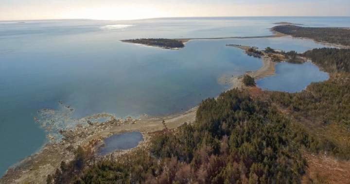 Whale sanctuary project secures 20-year Nova Scotia lease despite ongoing opposition Whale sanctuary project secures 20-year Nova Scotia lease despite ongoing opposition