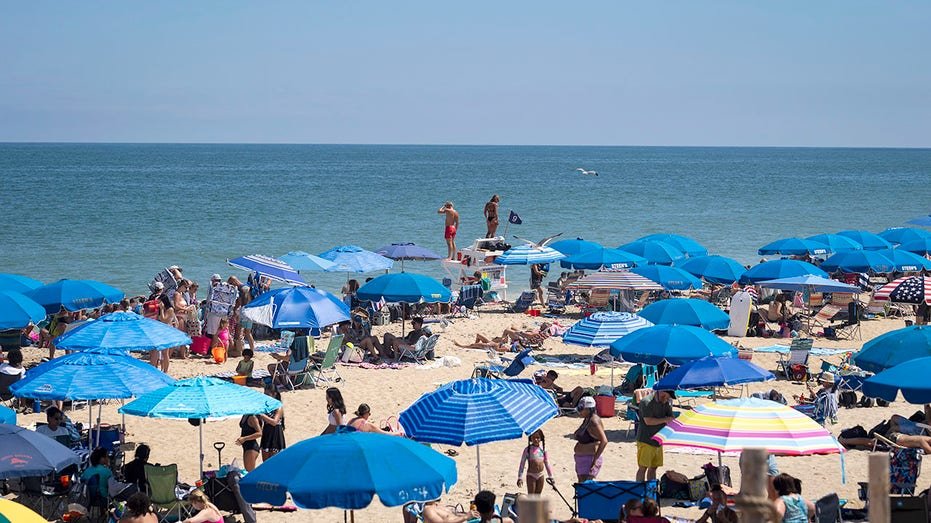 People on a Delaware beach
