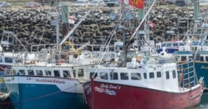 N.S. fishers plan appeal after court dismisses lobster treaty rights case