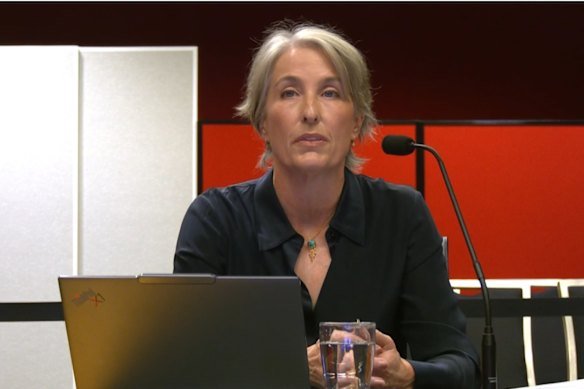 Dowling giving evidence at the NSW upper house inquiry last year.