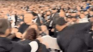 Four men ejected from MCG after fight during Collingwood-Western Bulldogs wildcard AFL game Four men ejected from MCG after fight during Collingwood-Western Bulldogs wildcard AFL game