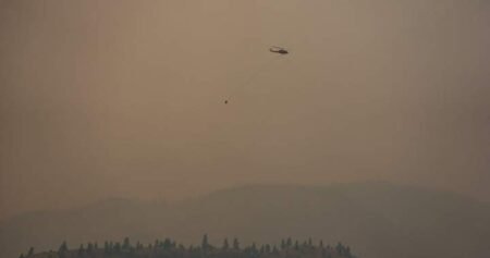 Mexican reinforcements arriving for wildfire fight in Summerland, B.C. Mexican reinforcements arriving for wildfire fight in Summerland, B.C.