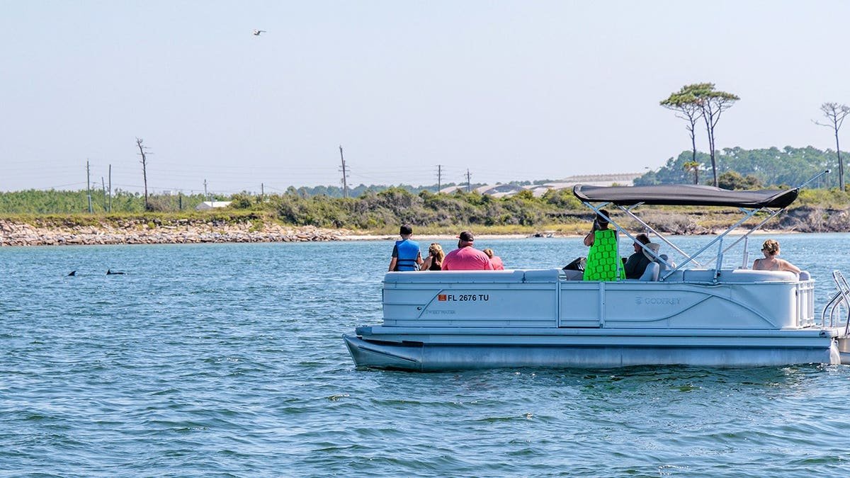 Family sits in pontoon boat watching bottlenose dolphins feed in Pensacola Bay.